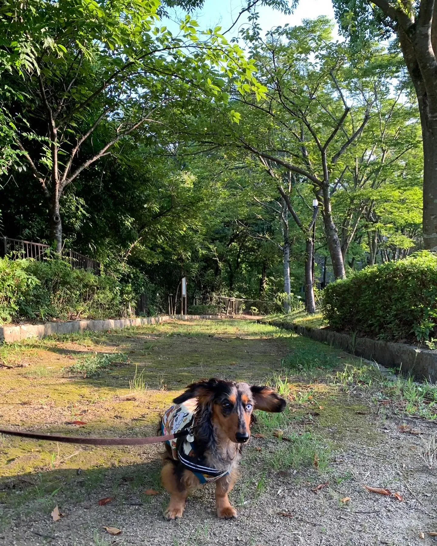 ぶんふけ君🎶のお写真が届きました📷