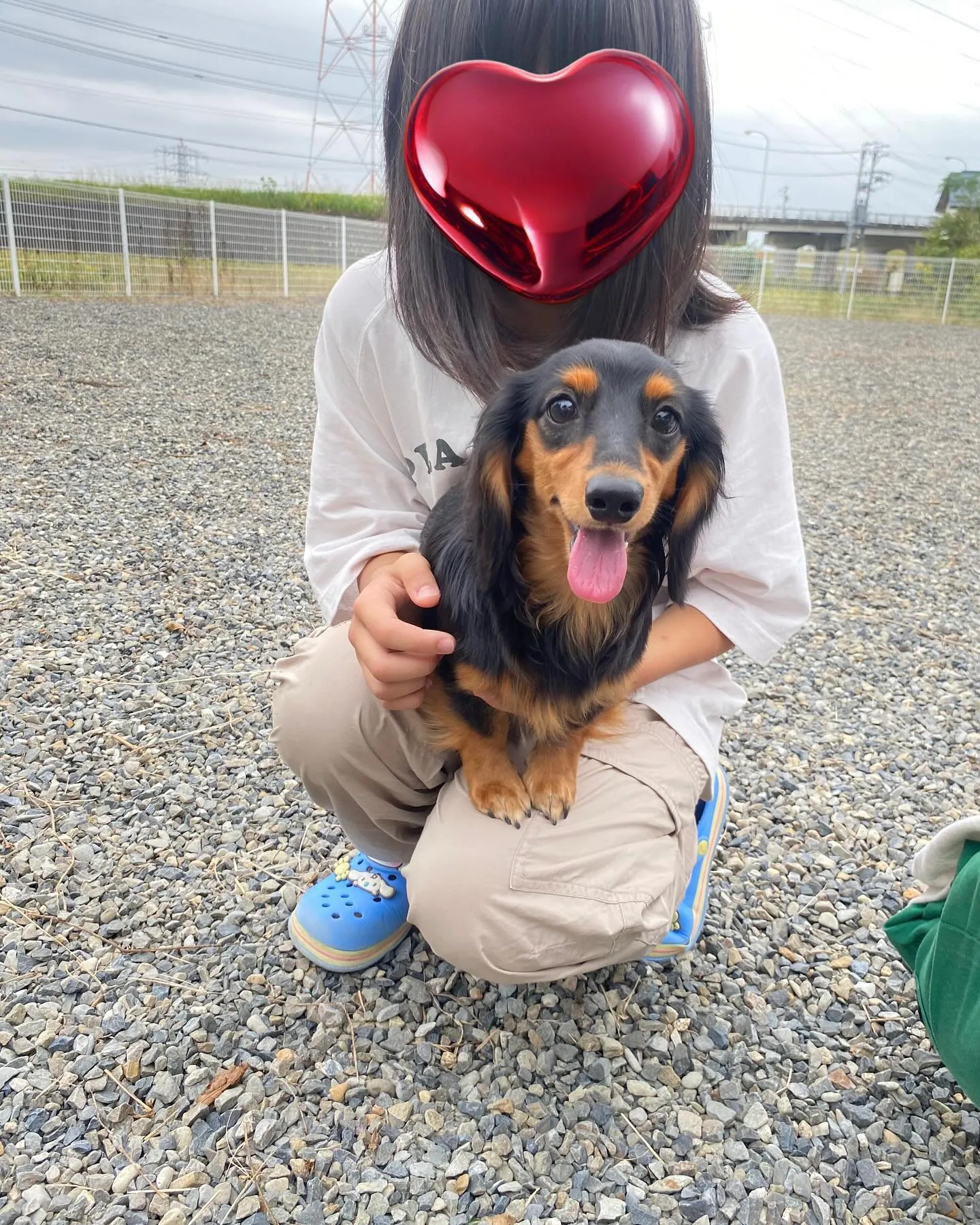 今日は、うーじ君とむぎちゃんが遊びに来てくれました🐾