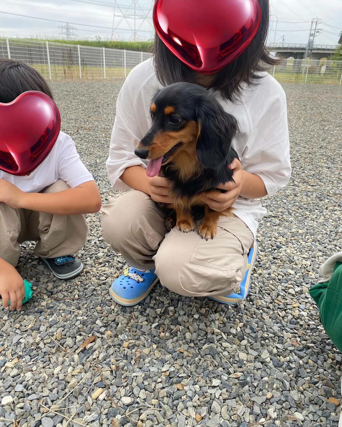 今日は、うーじ君とむぎちゃんが遊びに来てくれました🐾