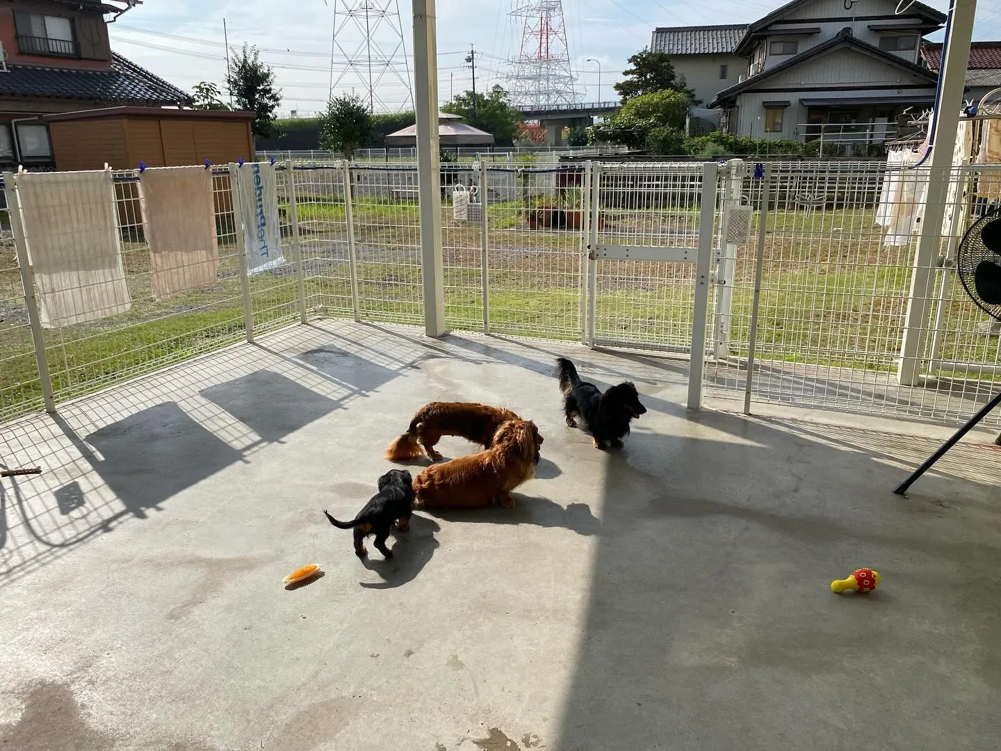 キャビアとオクラ🐾