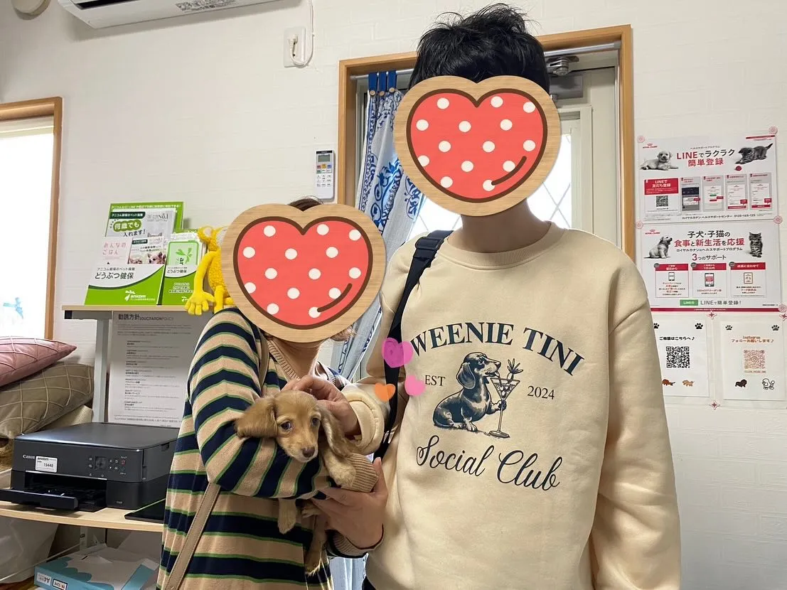 プフちゃん巣立ちの日✨🕊️🏘️✨