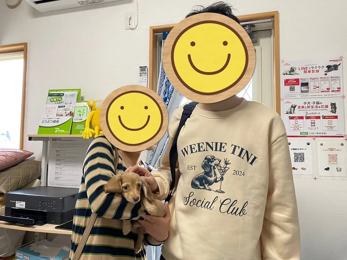 プフちゃん巣立ちの日✨🕊️🏘️✨