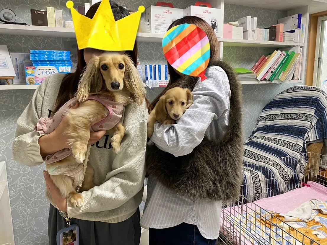 まるこちゃん巣立ちの日✨🕊️🏘️✨