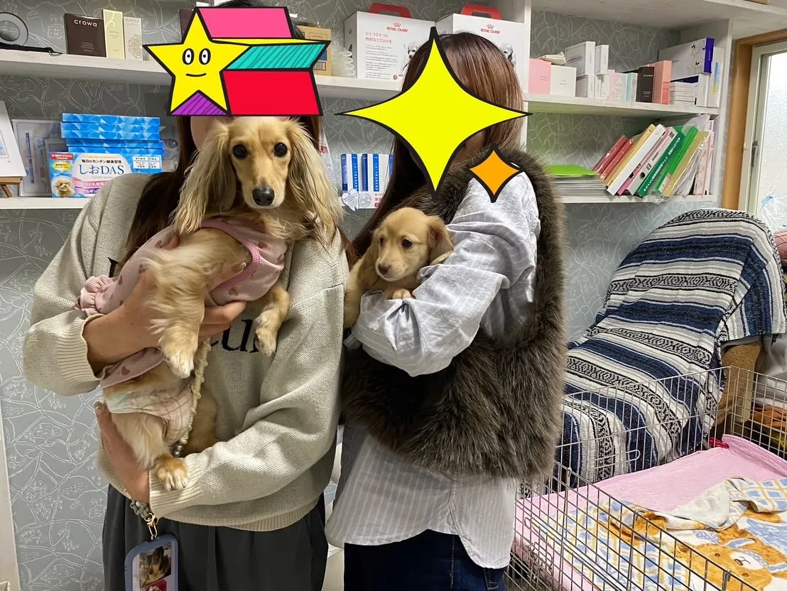 まるこちゃん巣立ちの日✨🕊️🏘️✨