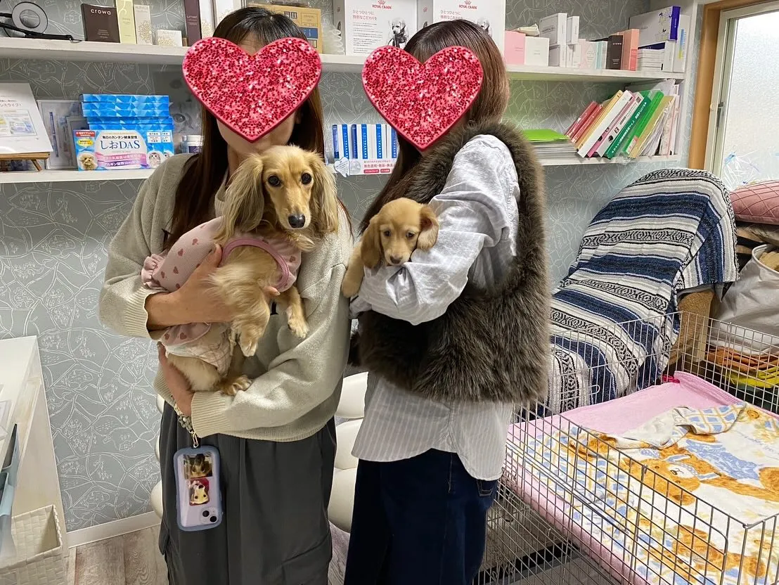 まるこちゃん巣立ちの日✨🕊️🏘️✨