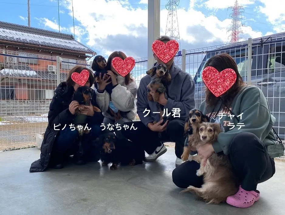 ひまわりちゃん＆ジギー君＆ピノちゃん＆うなちゃん＆クール君里...