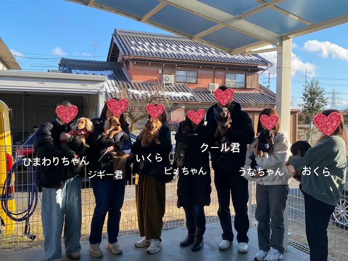 ひまわりちゃん＆ジギー君＆ピノちゃん＆うなちゃん＆クール君里...