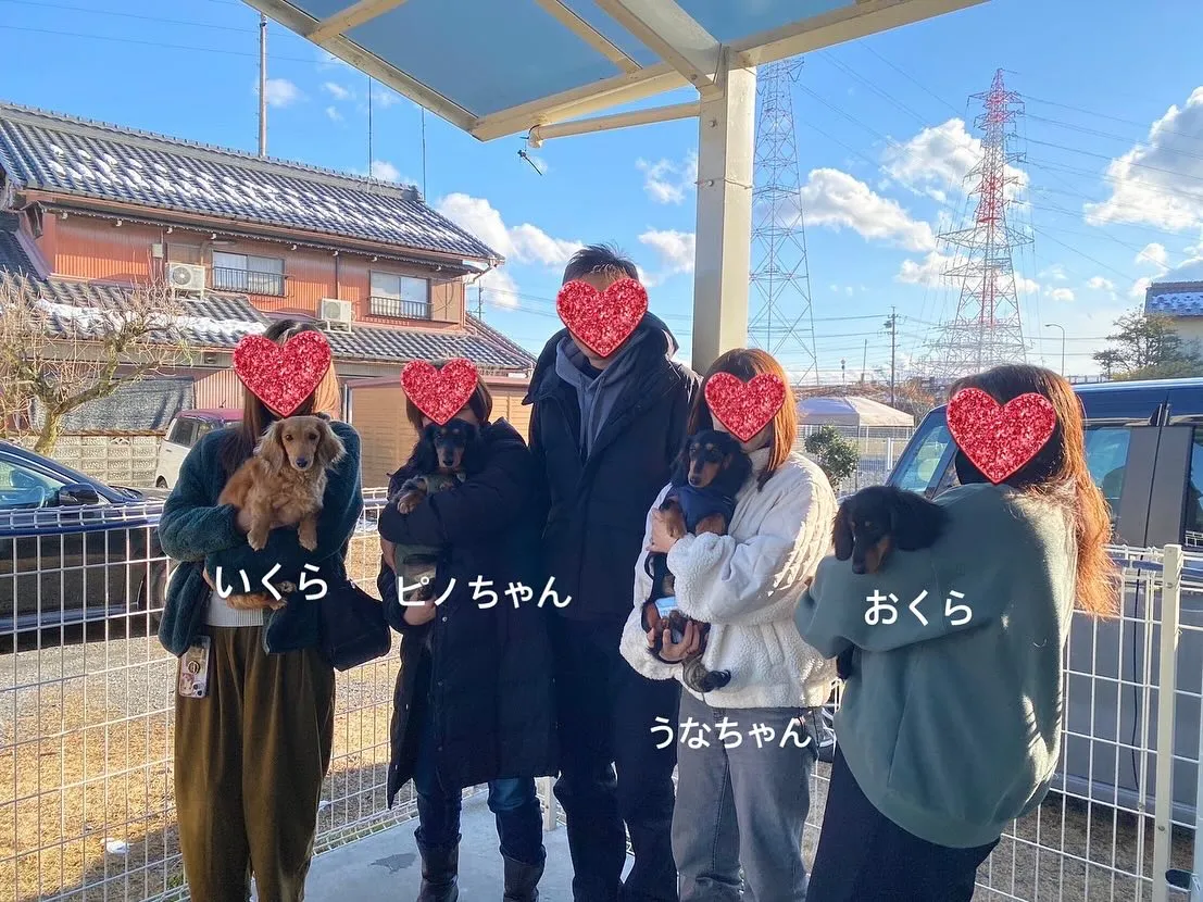 ひまわりちゃん＆ジギー君＆ピノちゃん＆うなちゃん＆クール君里...