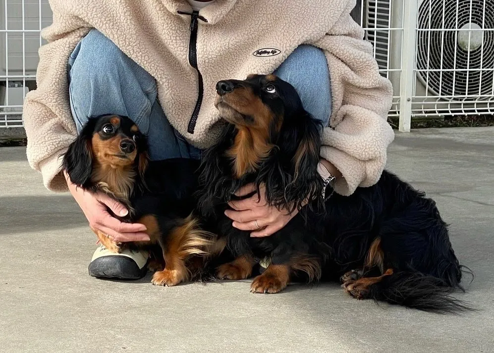 むぎちゃん里帰り🐾