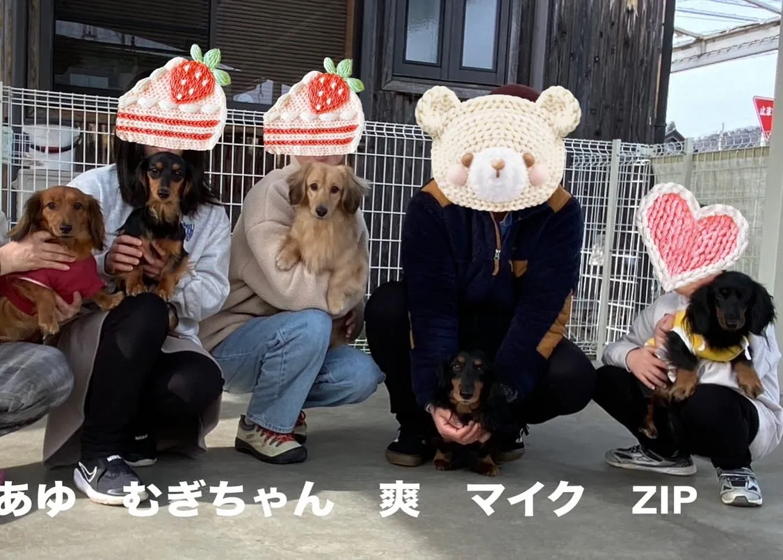 むぎちゃん里帰り🐾