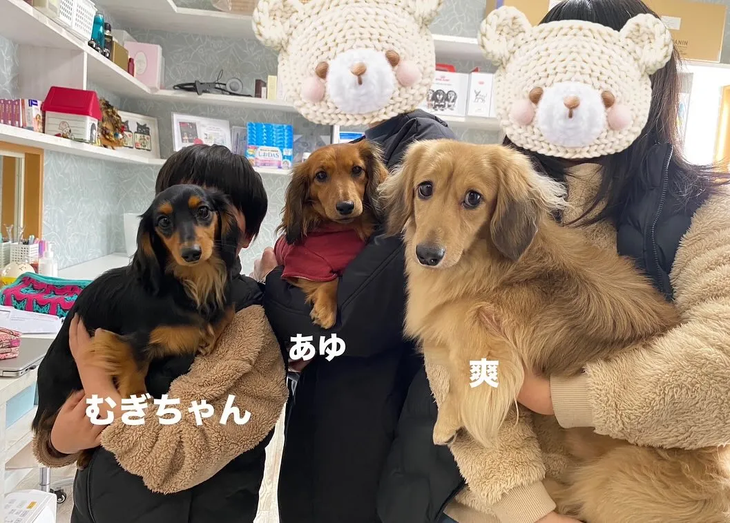 むぎちゃん里帰り🐾