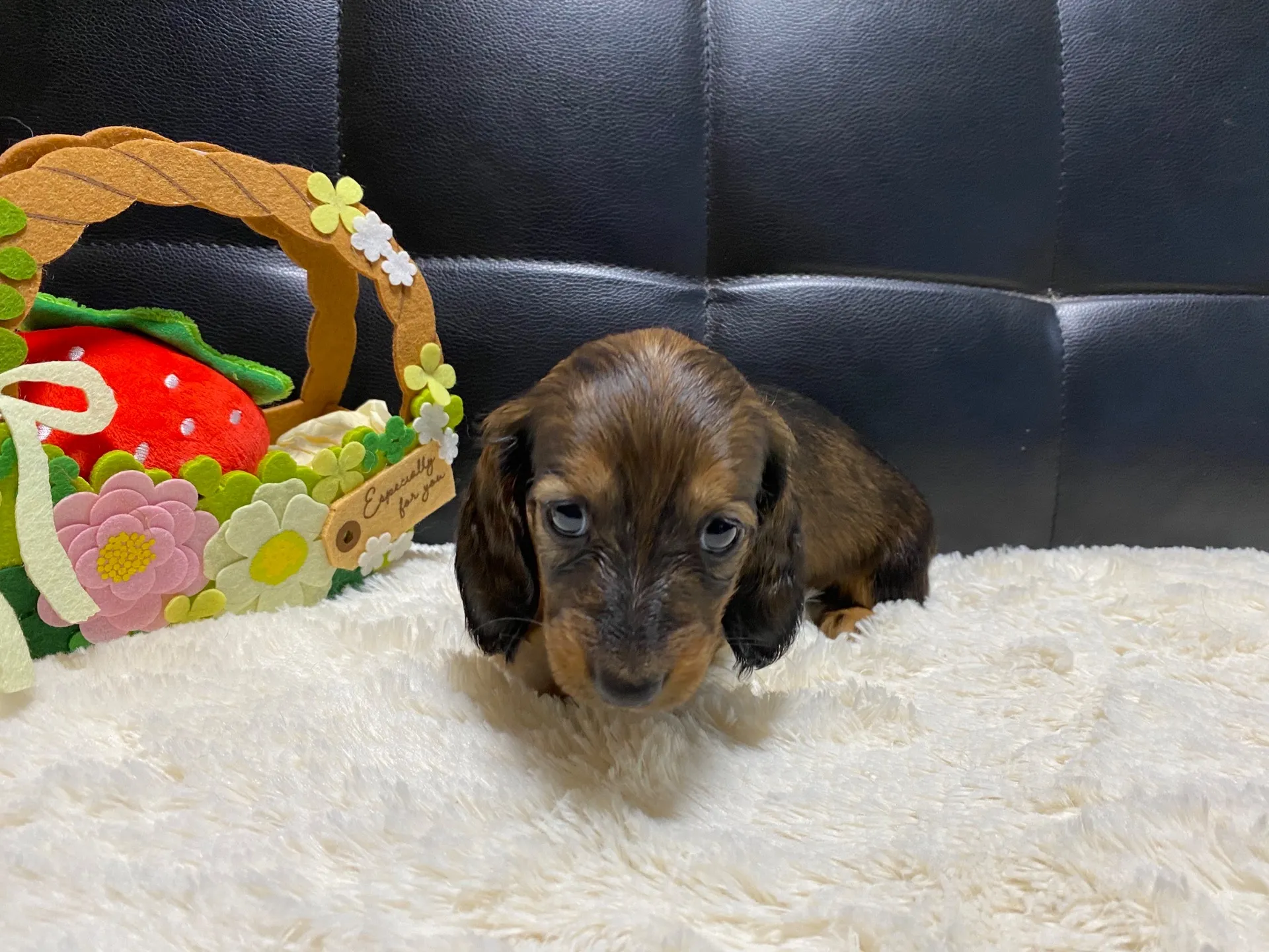 決まりました✨ありがとうございます