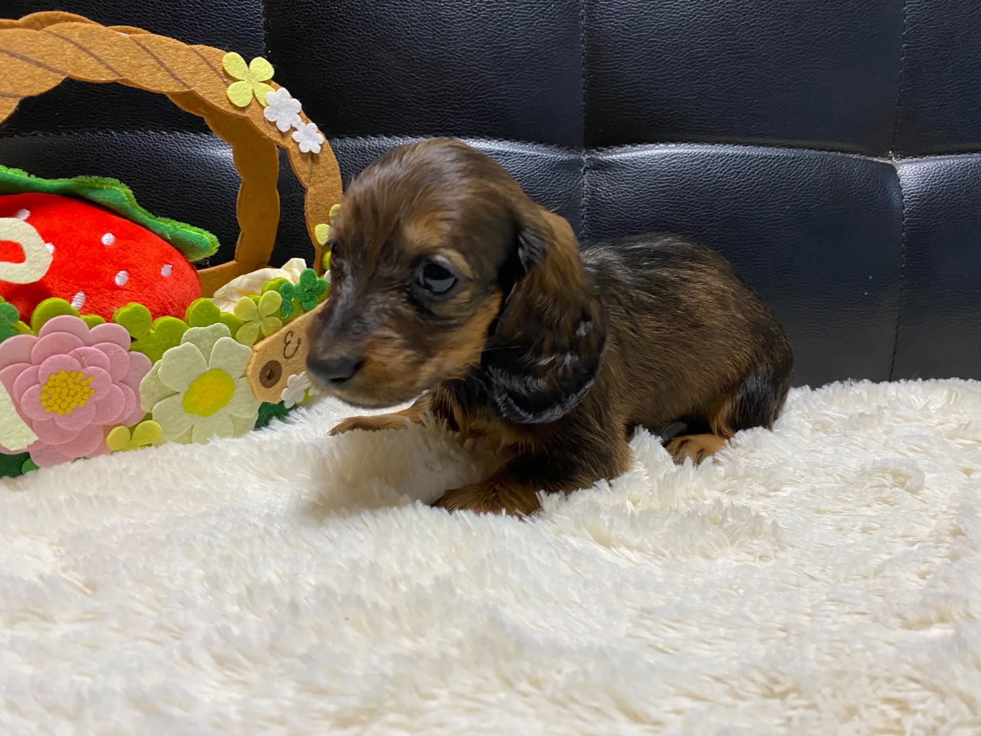 決まりました✨ありがとうございます