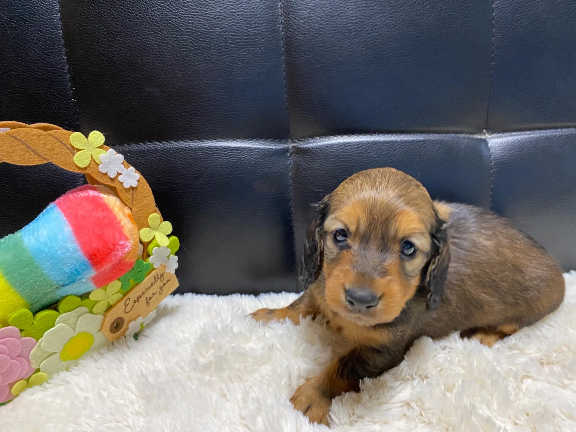 決まりました✨ありがとうございます