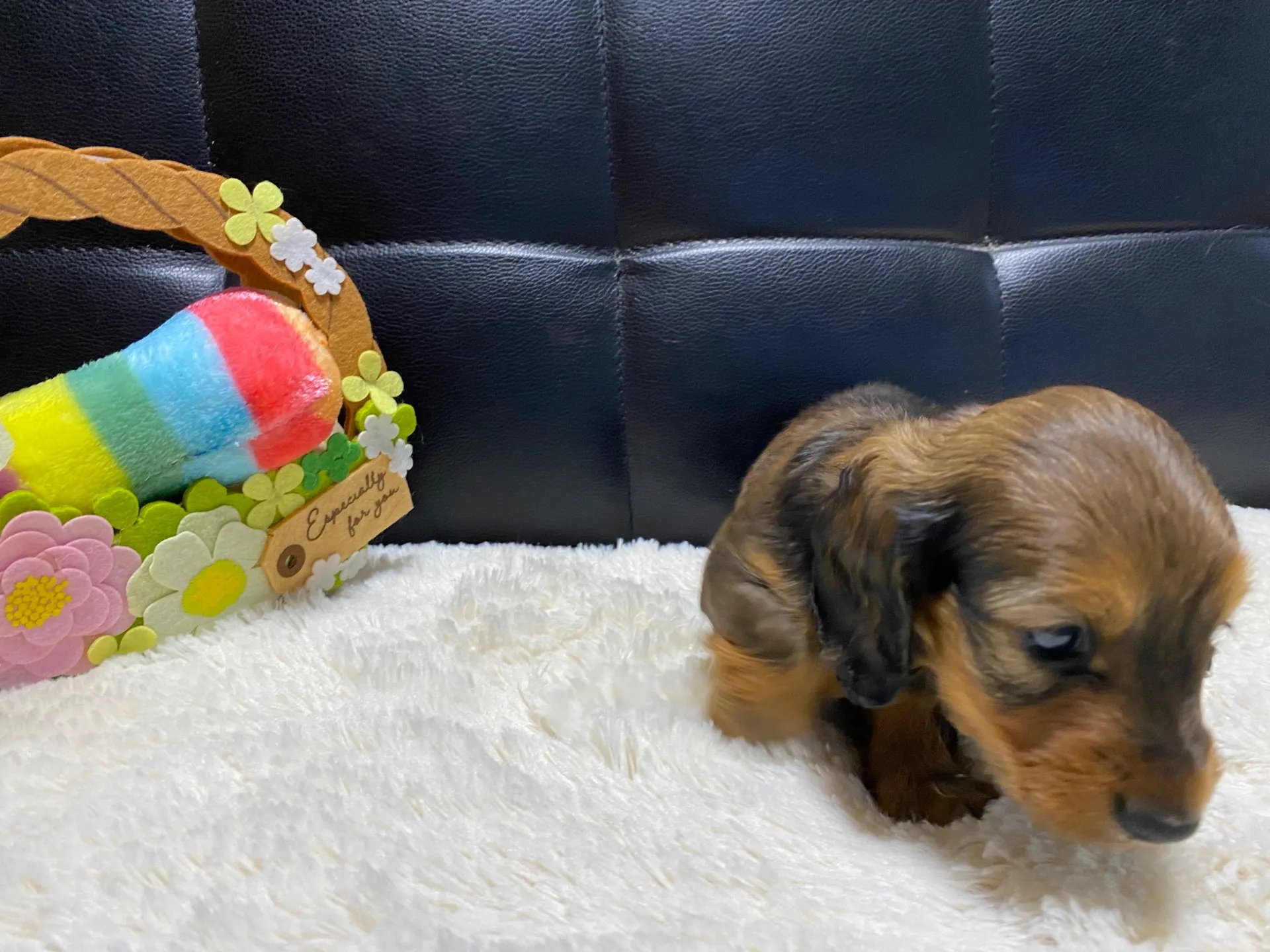 決まりました✨ありがとうございます