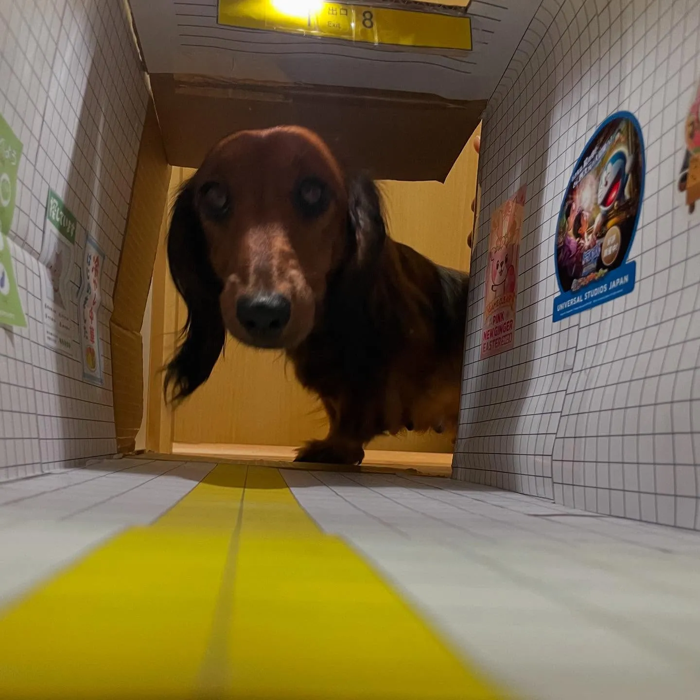 異変があっても引き返しません!😍