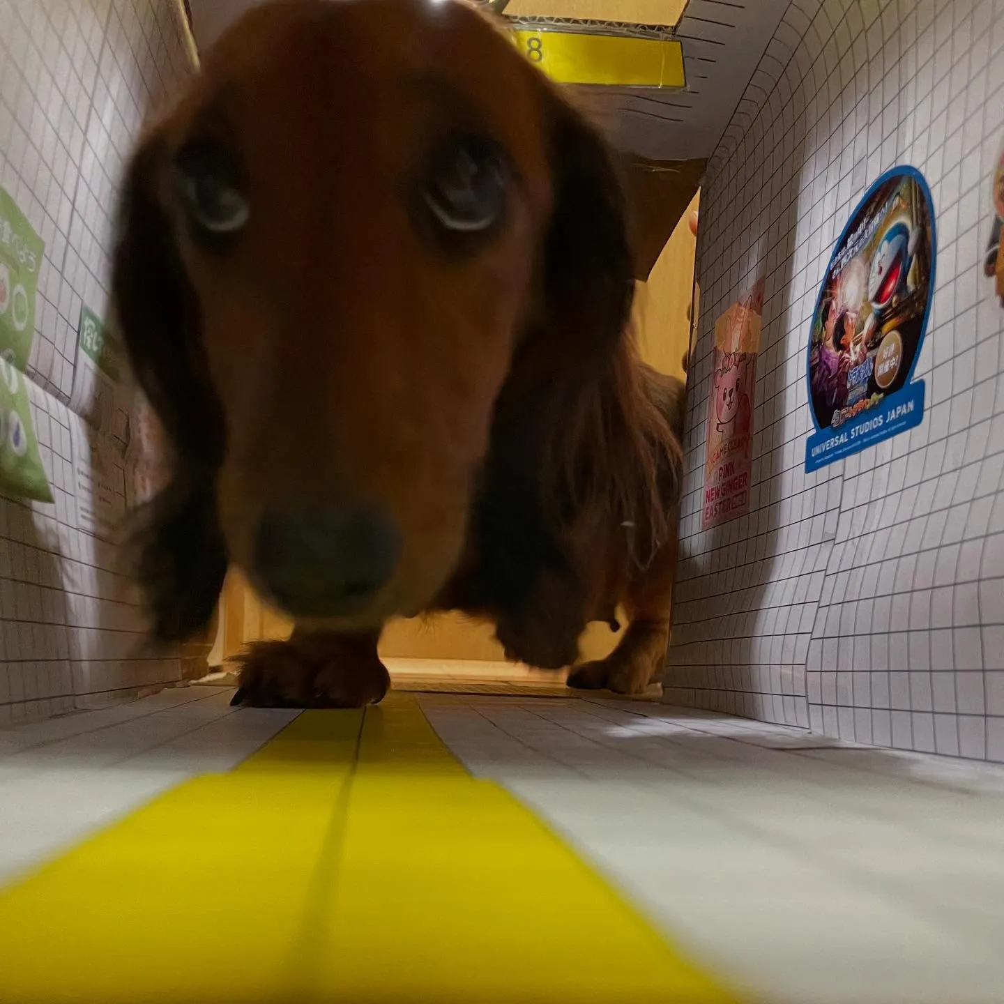 異変があっても引き返しません!😍