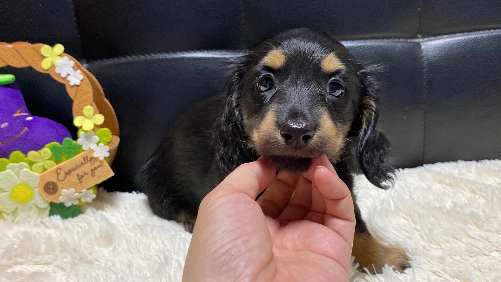 決まりました✨ありがとうございます