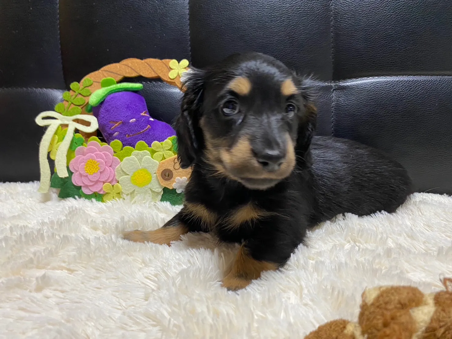 決まりました✨ありがとうございます