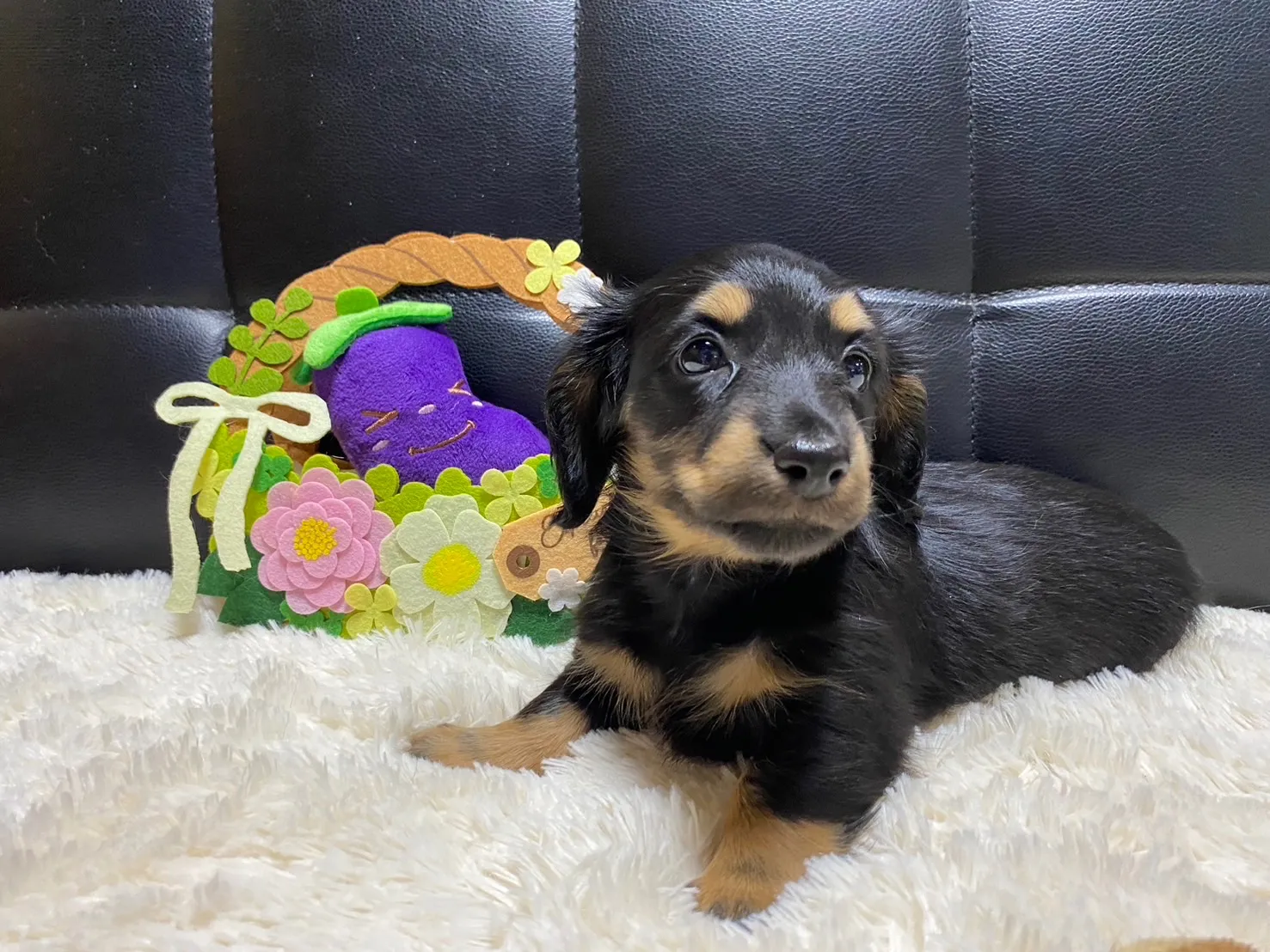 決まりました✨ありがとうございます