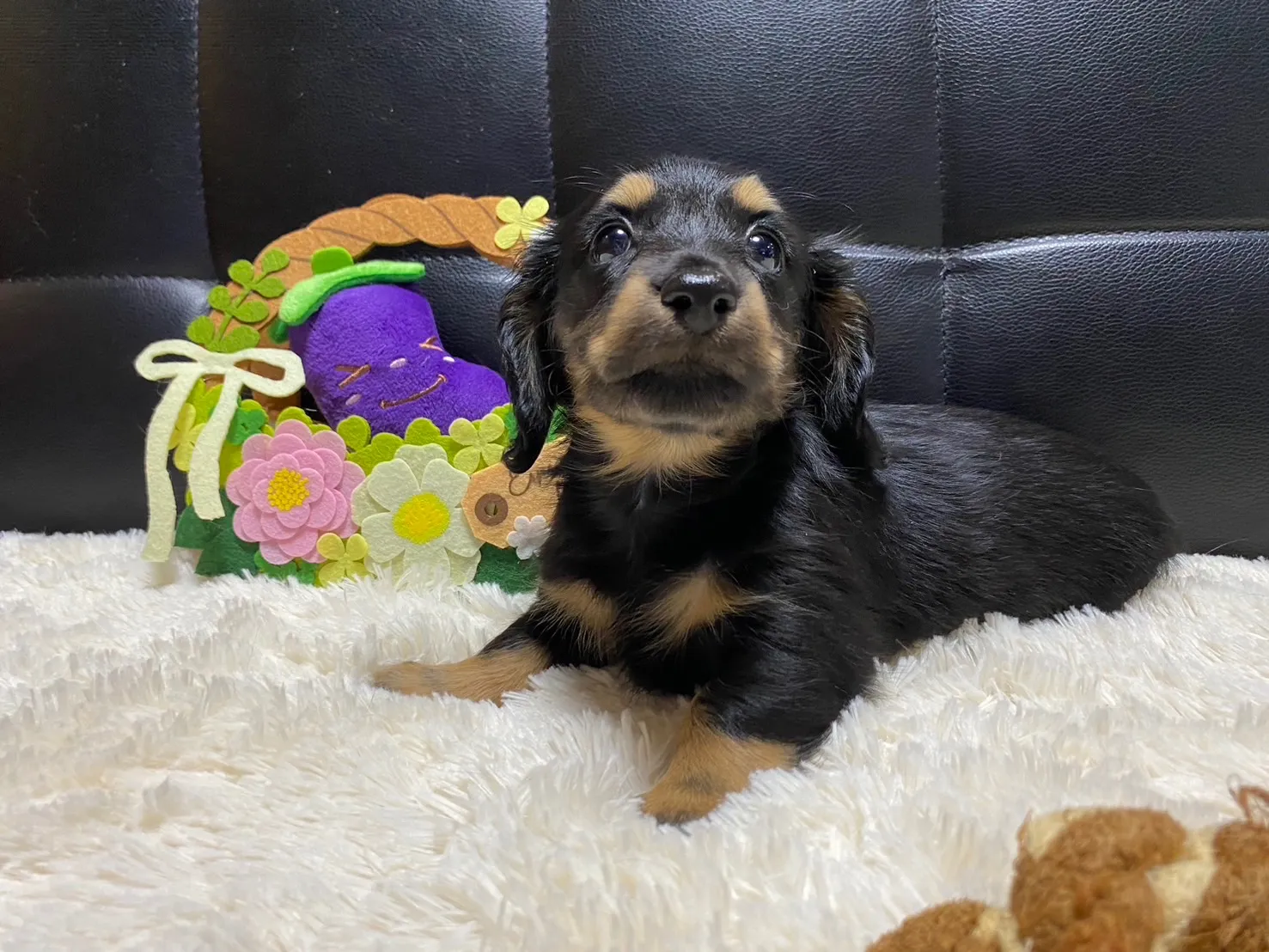 決まりました✨ありがとうございます