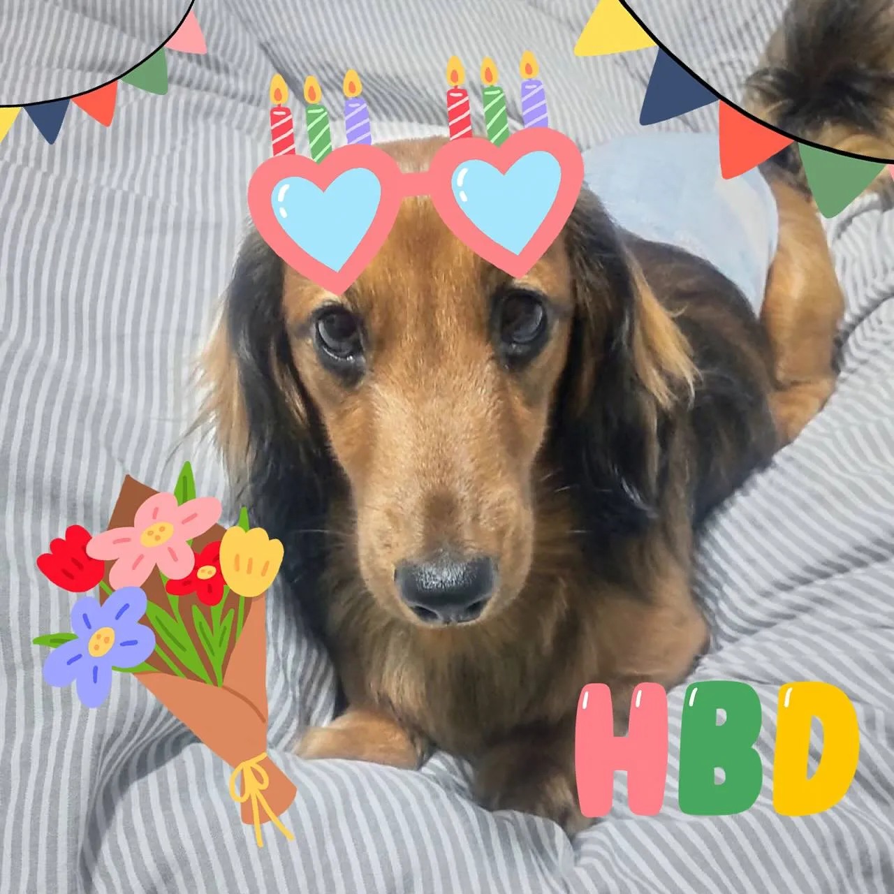 タッチくん3歳のお誕生日おめでとう〜✨🎂