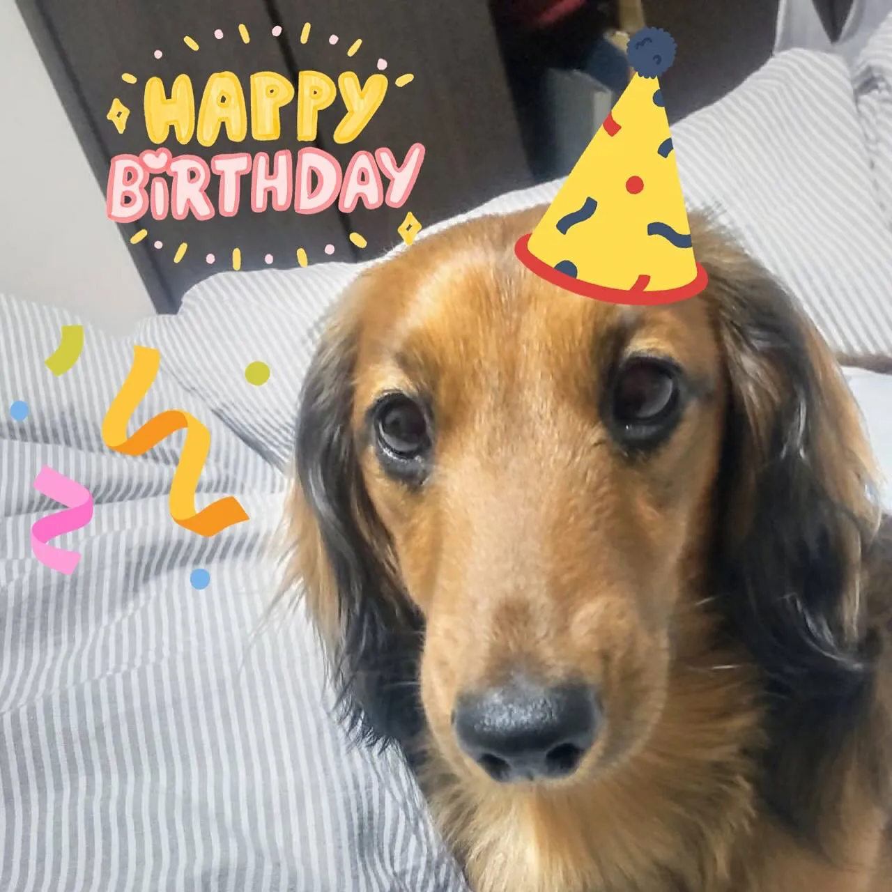 タッチくん3歳のお誕生日おめでとう〜✨🎂