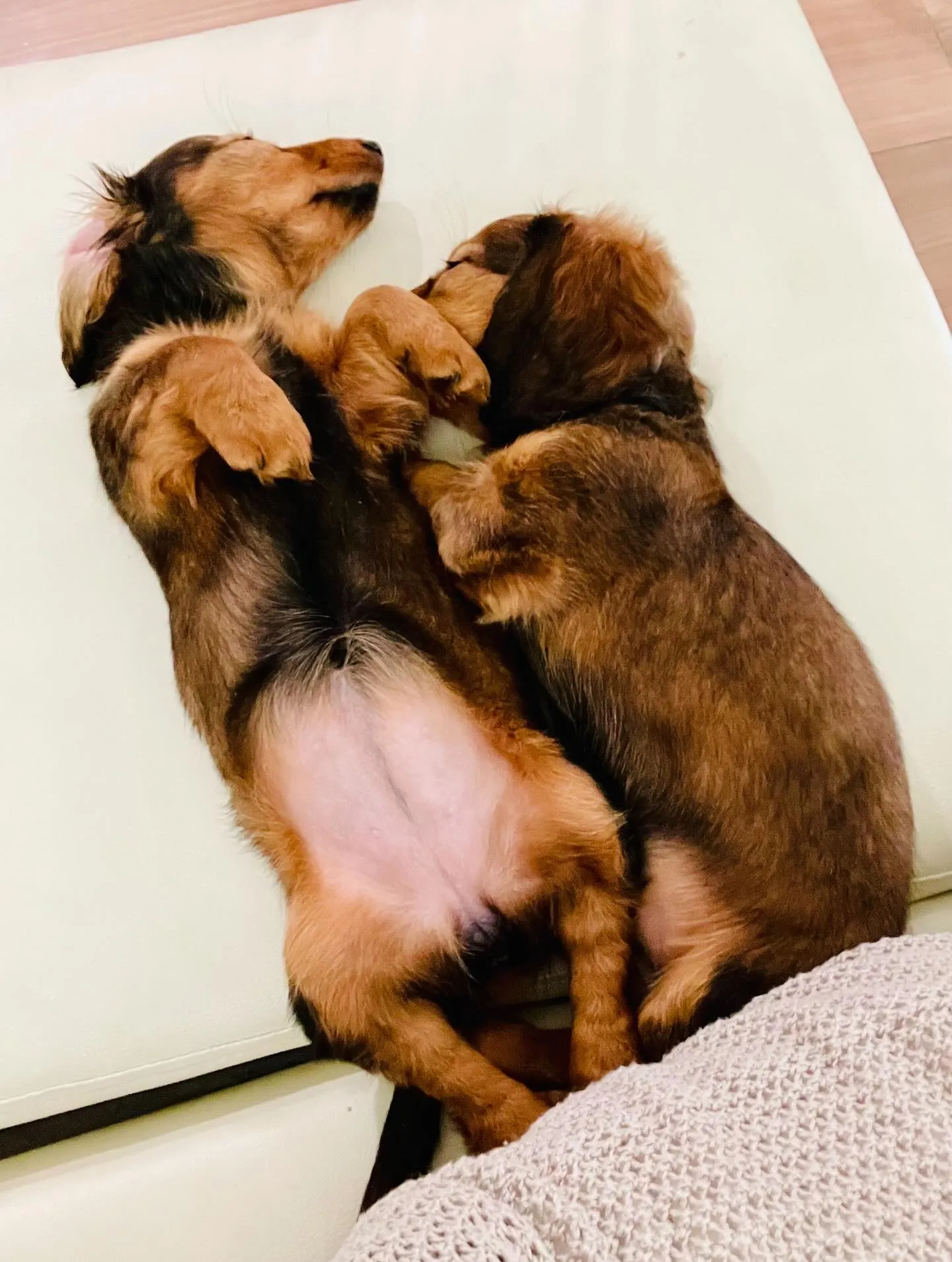 キキちゃん＆りんちゃん🐾