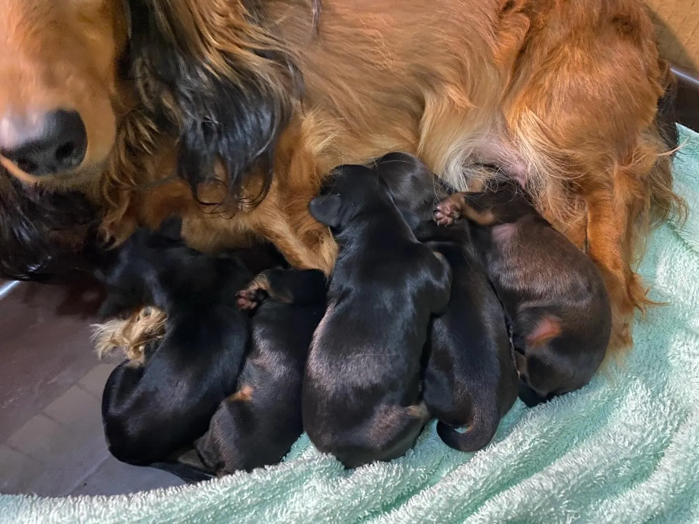7月生まれの子ども達🐾