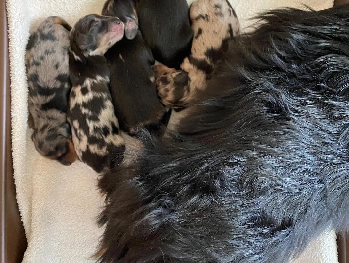 7月生まれの子ども達🐾