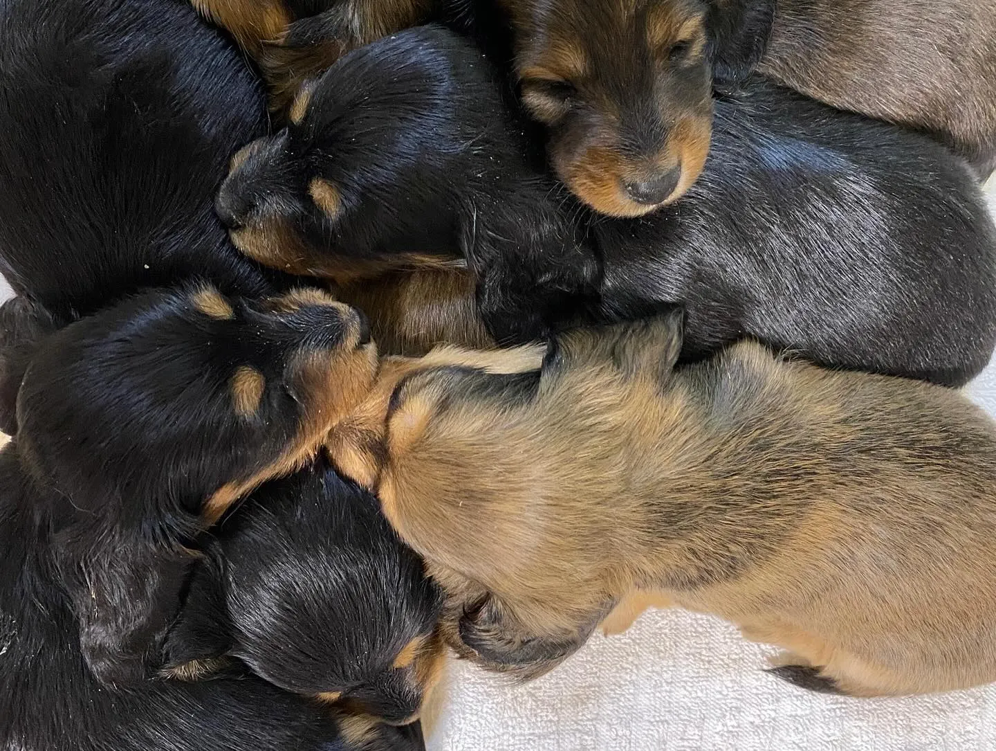 7月生まれの子ども達🐾