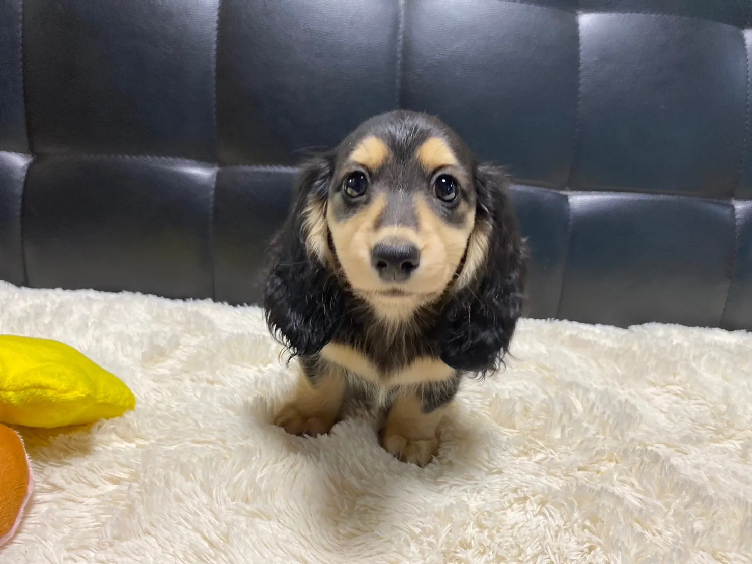 ありがとうございます✨