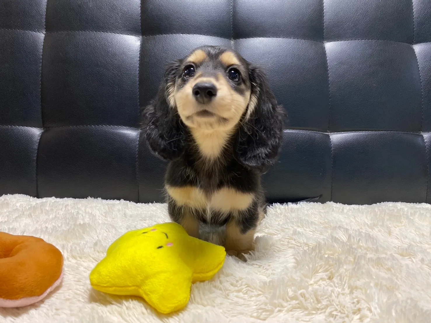 決まりました✨ありがとうございます