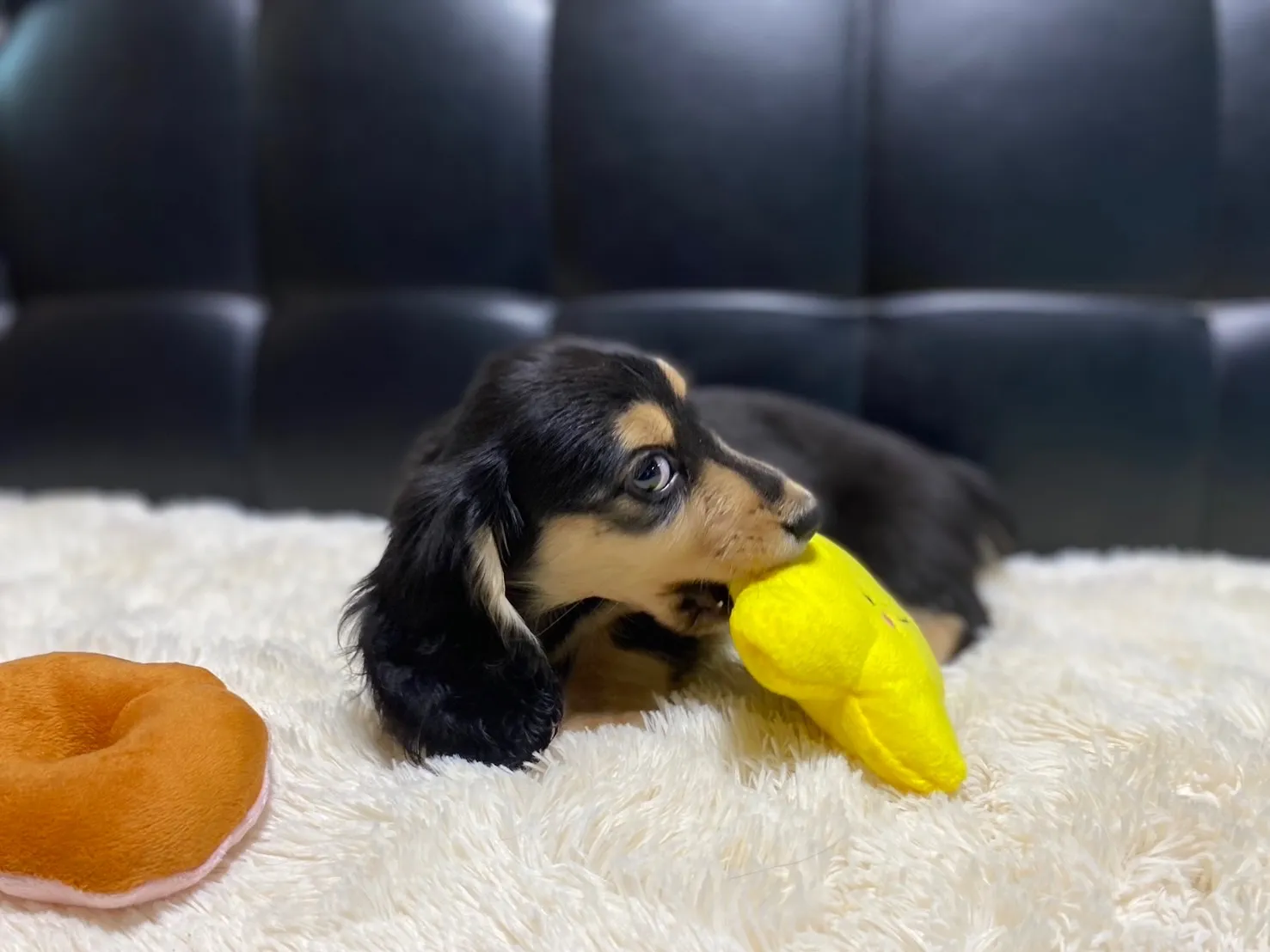 決まりました✨ありがとうございます