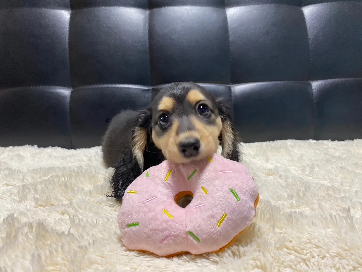 決まりました✨ありがとうございます