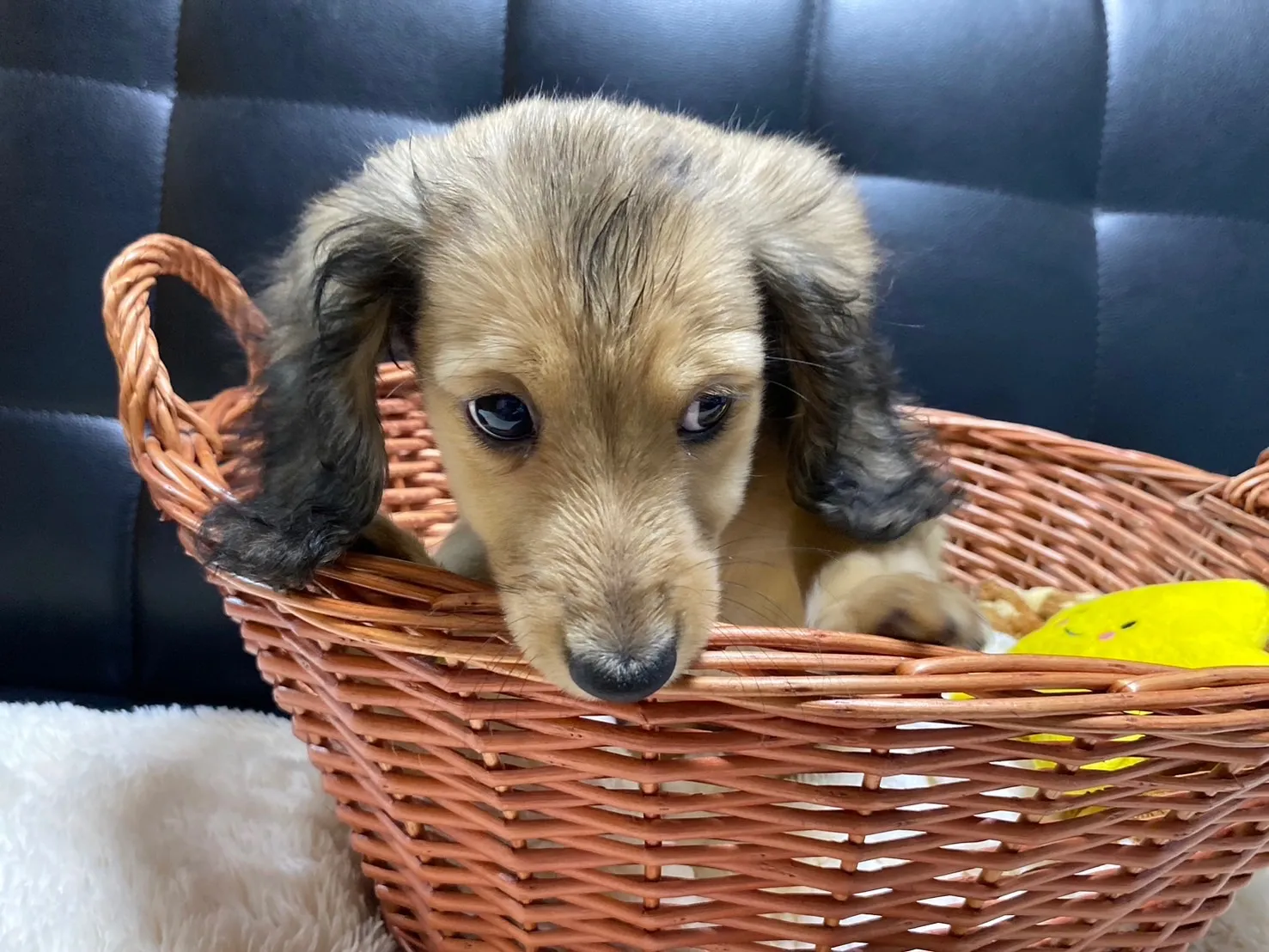 決まりました✨ありがとうございます