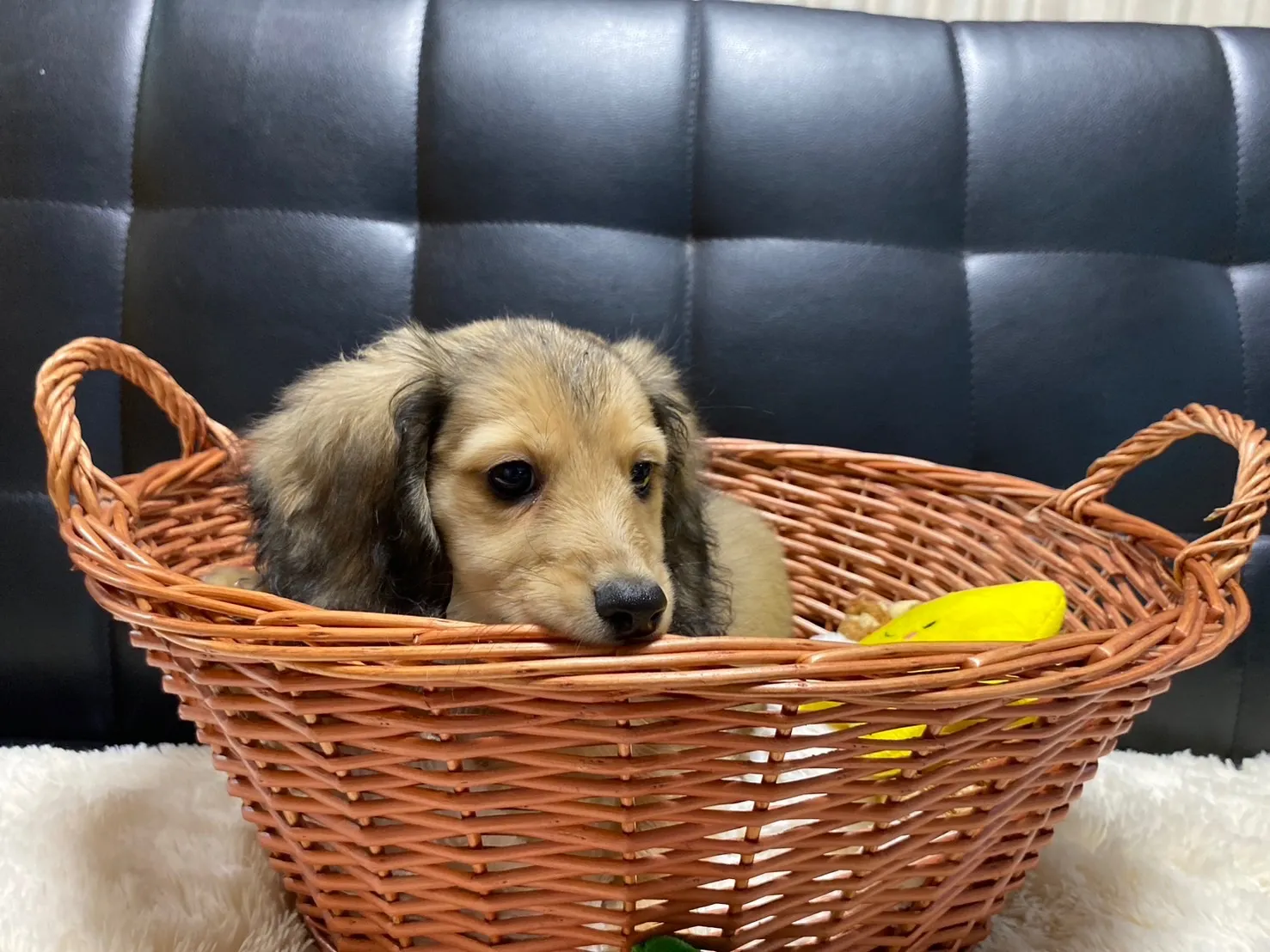 決まりました✨ありがとうございます