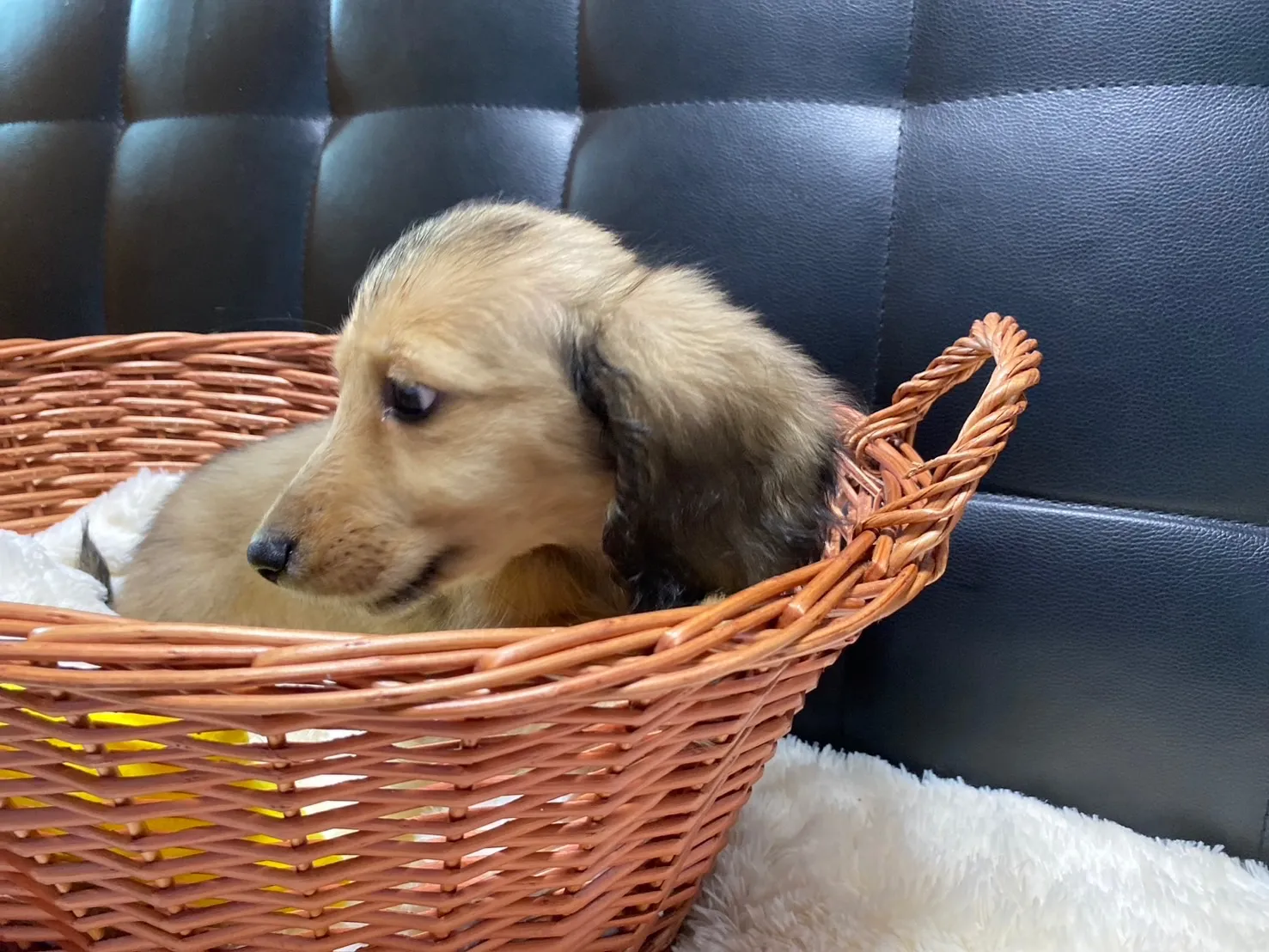 決まりました✨ありがとうございます