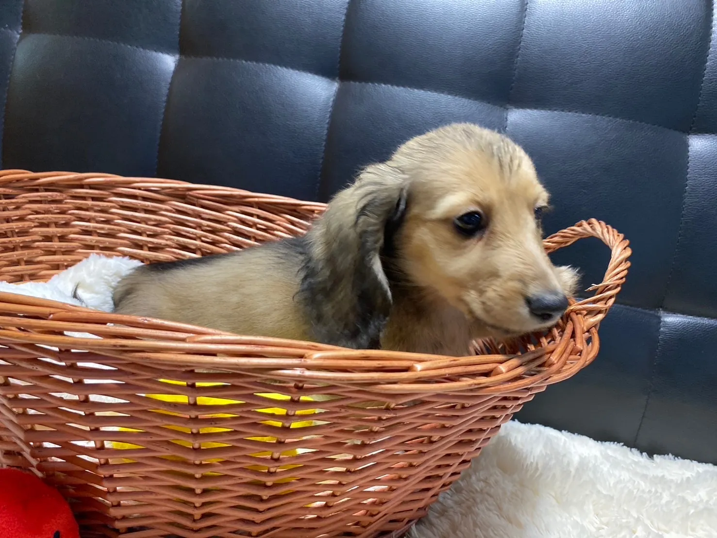 決まりました✨ありがとうございます