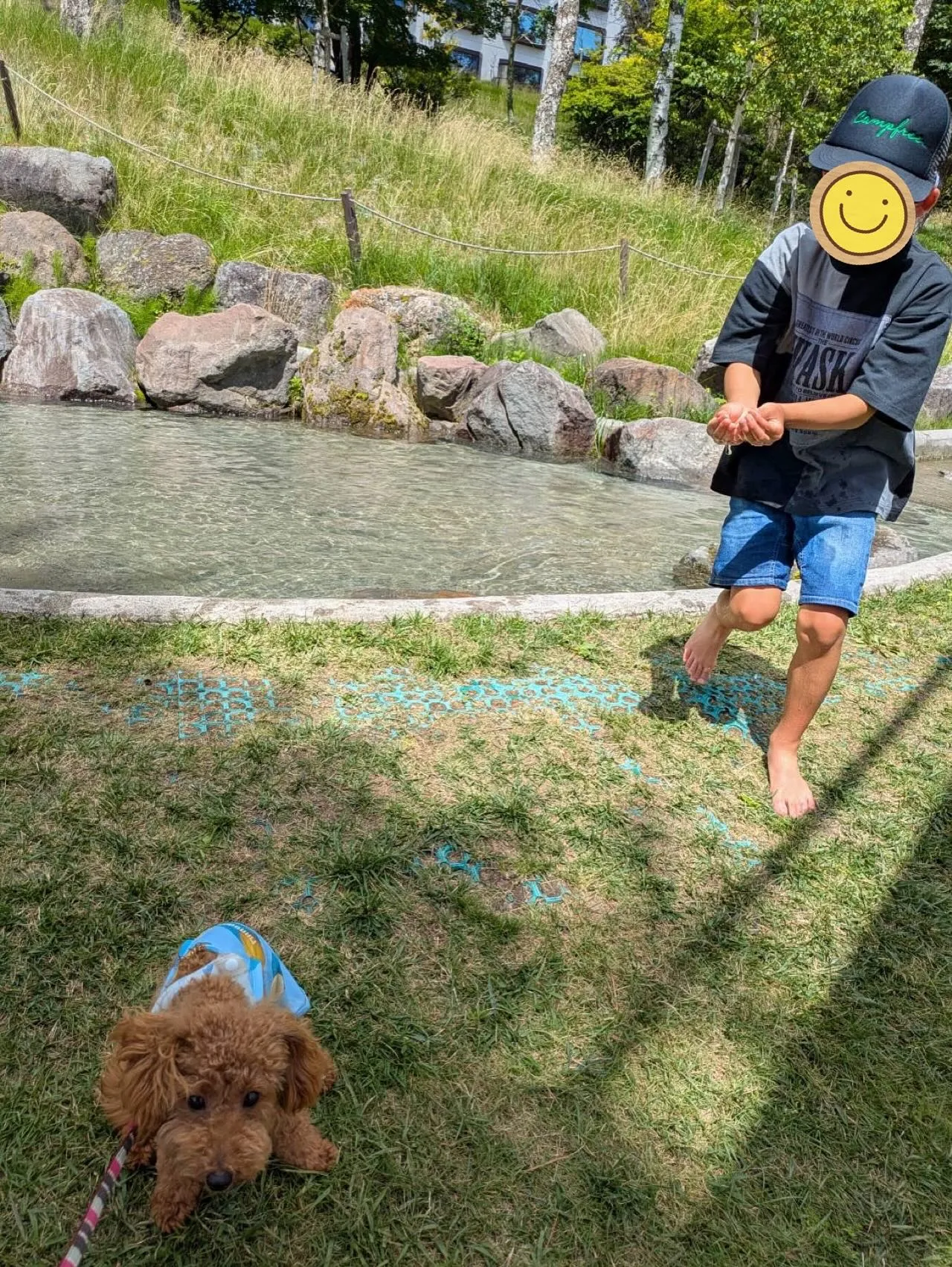 こまちちゃん🐾