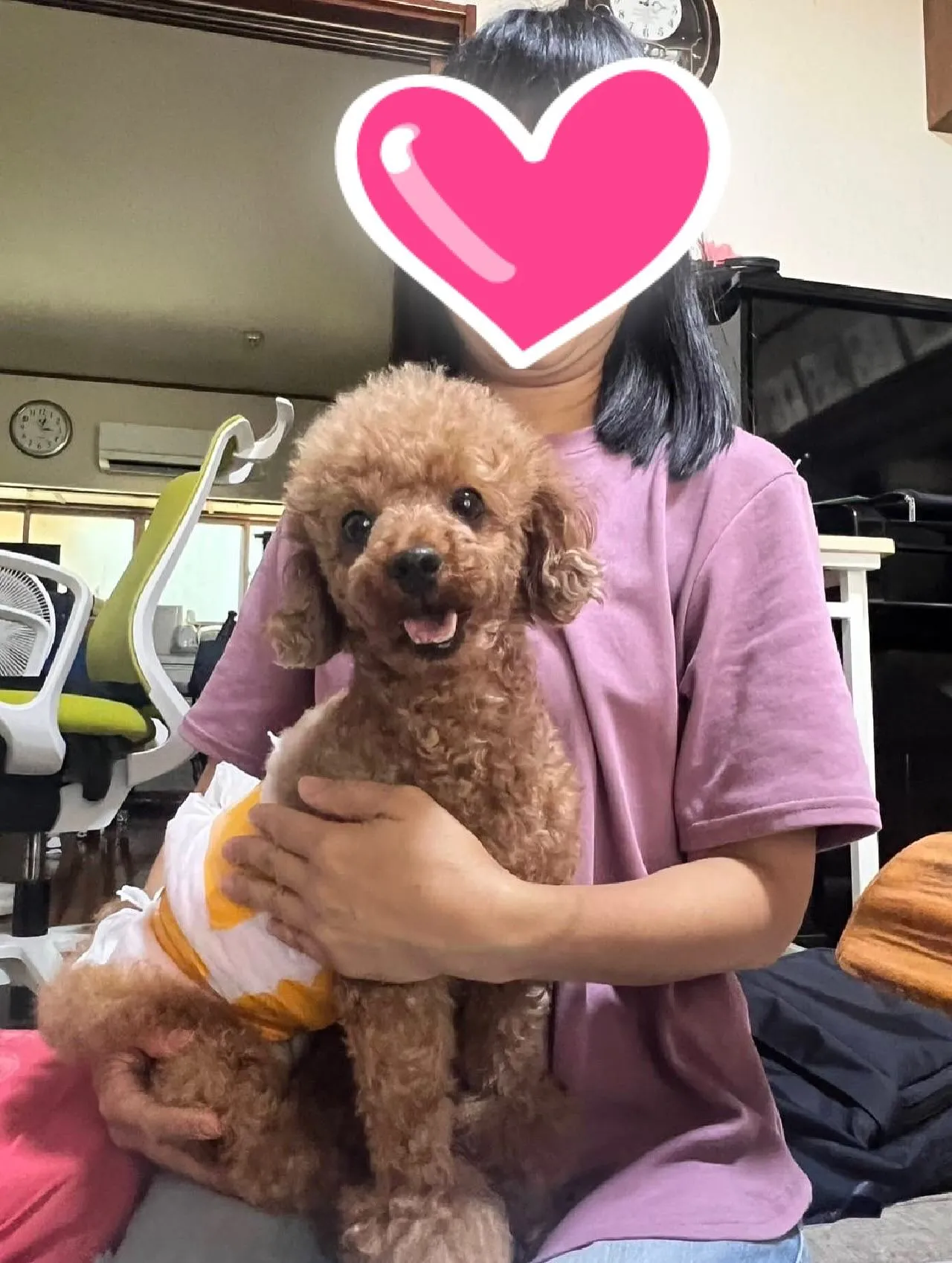 一枚目　ブランちゃん🐾