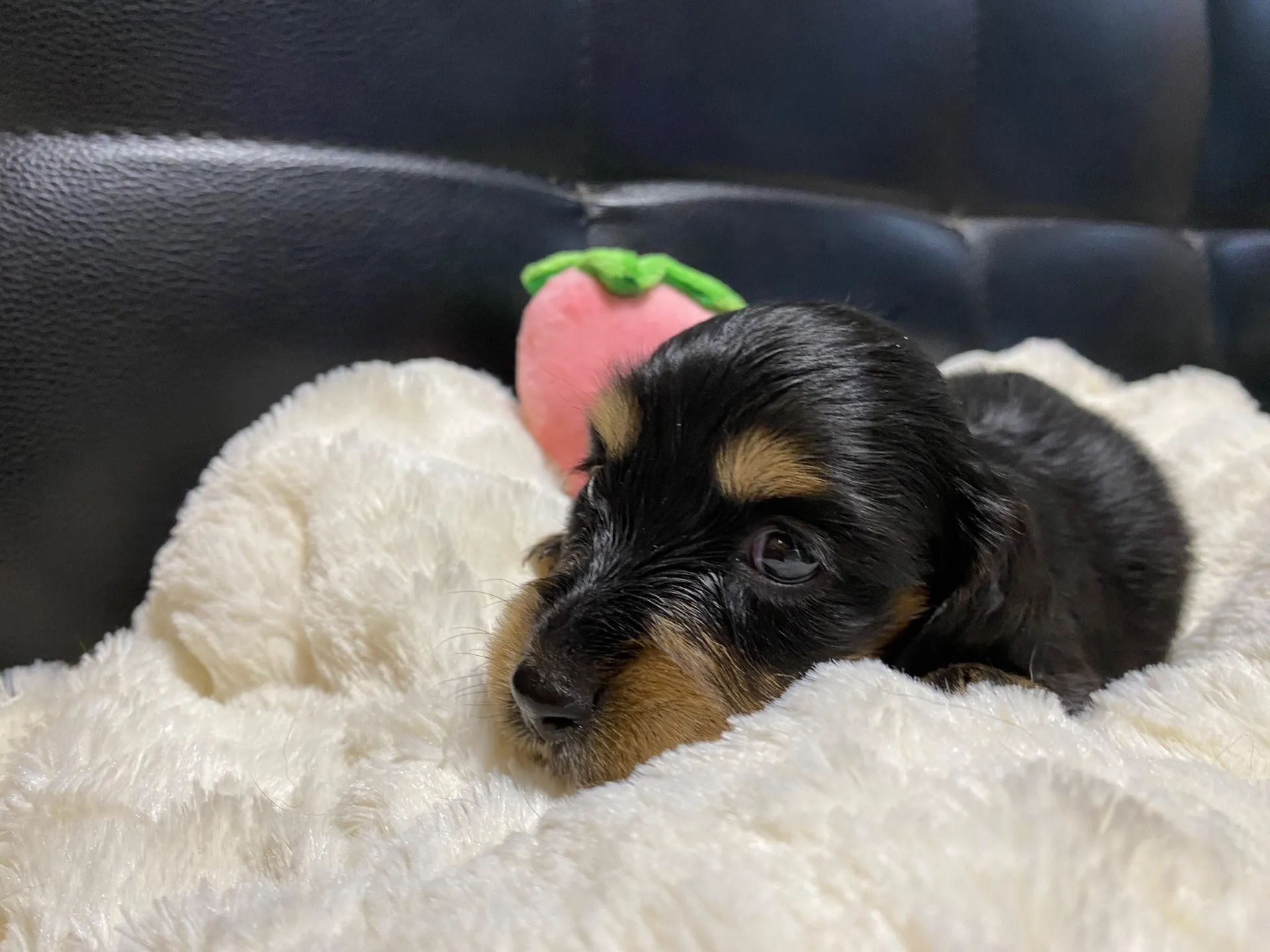 2025.08.27 うまれ