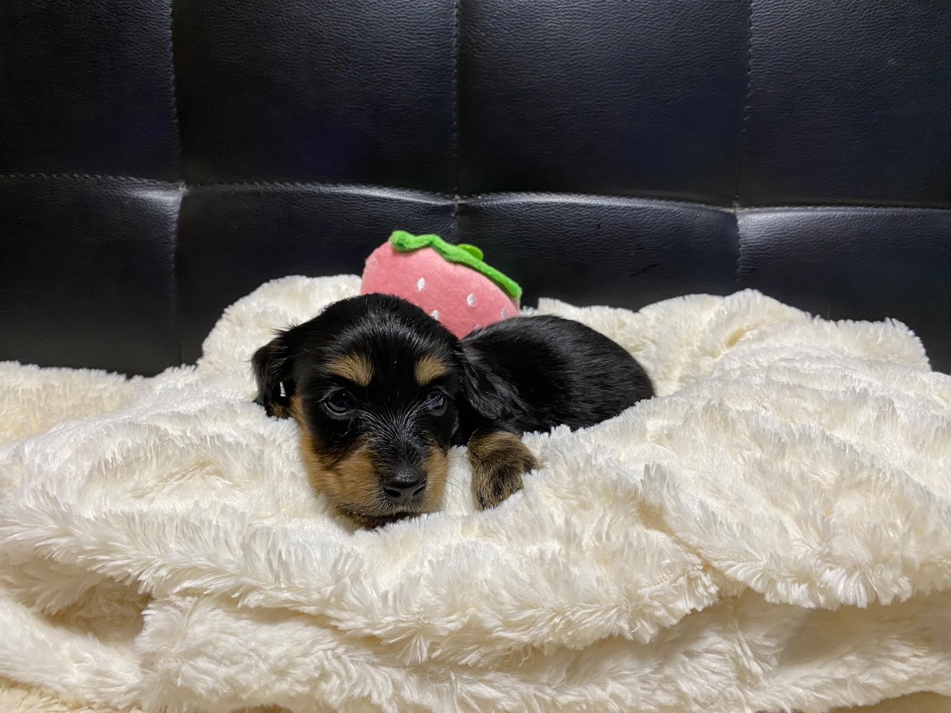 決まりました✨ありがとうございます