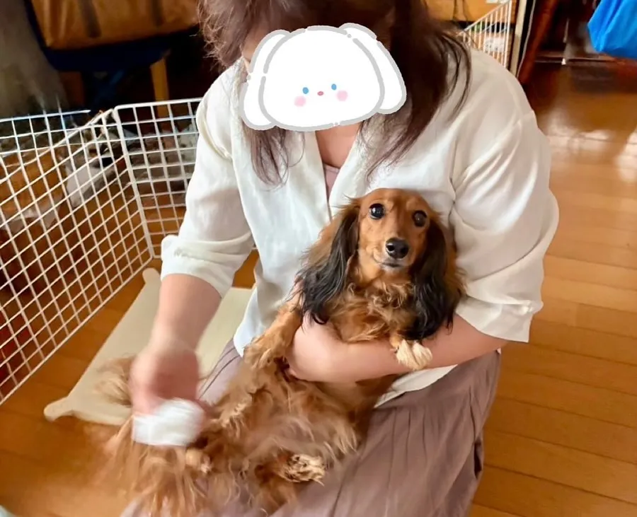 たらこちゃん🐾