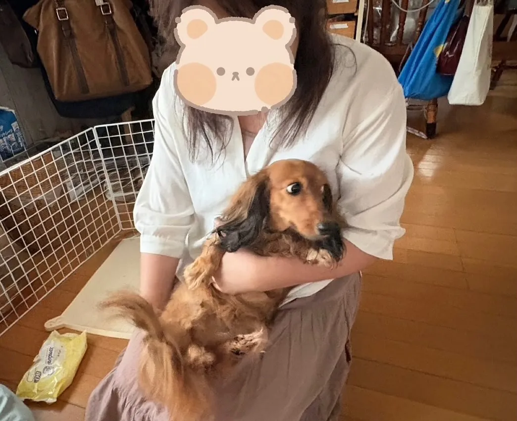 たらこちゃん🐾