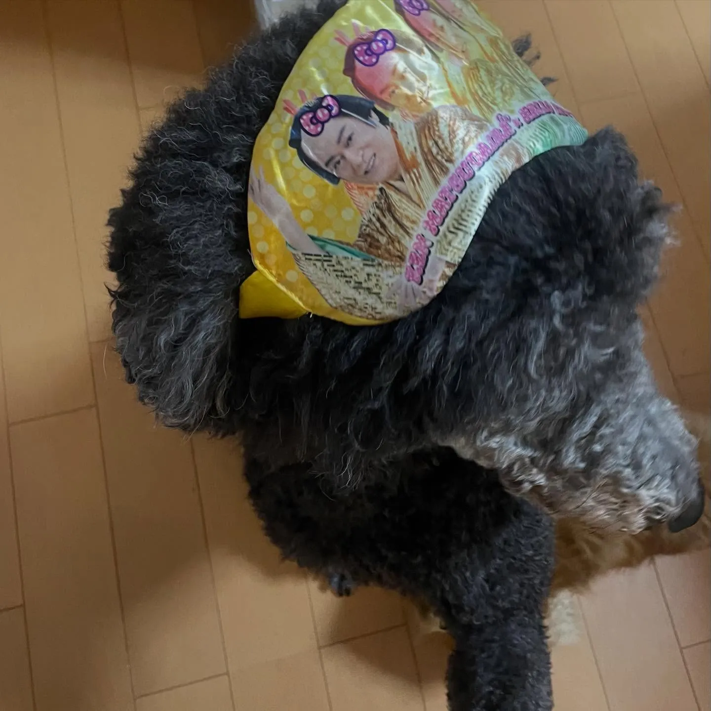 マツケンアイマスクをいただいたので試しにつけてみたら‥