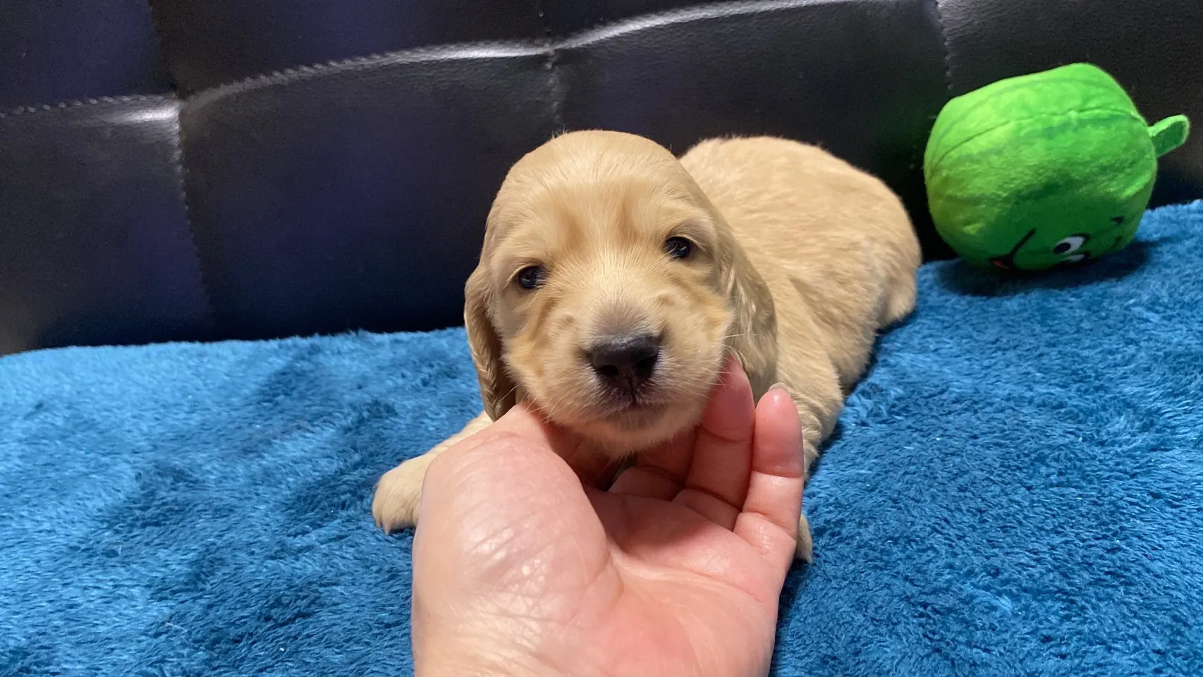 ありがとうございます✨