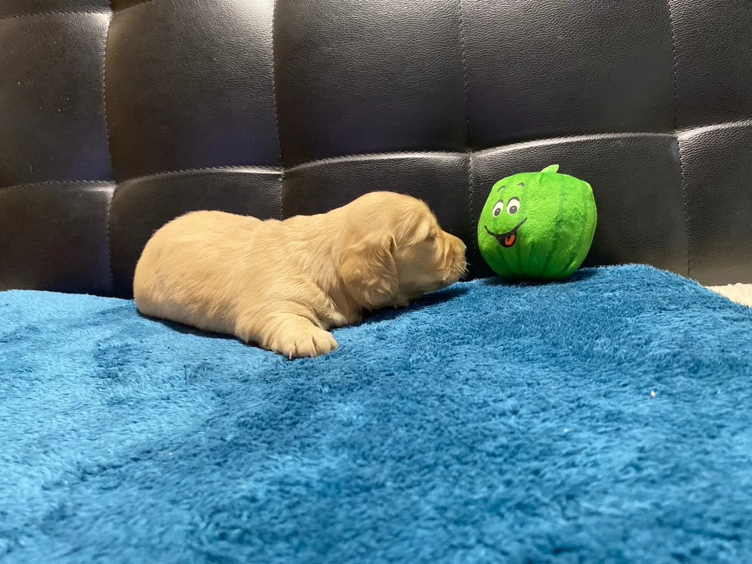 すくすく成長中✨