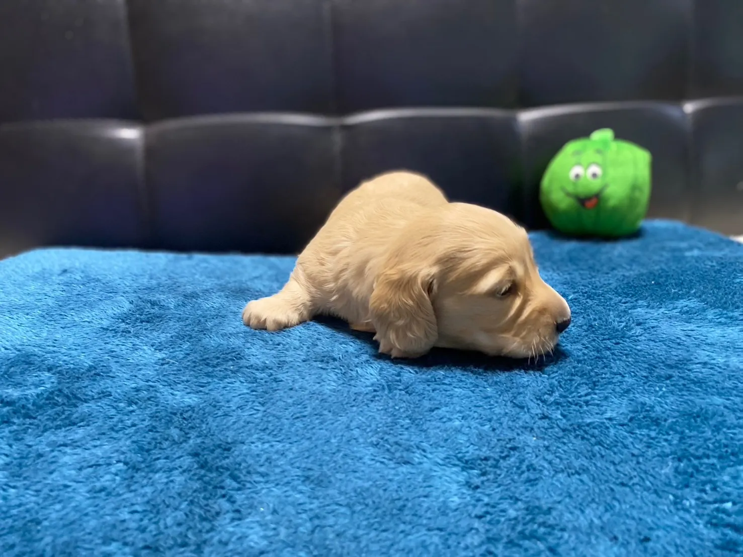 決まりました✨ありがとうございます