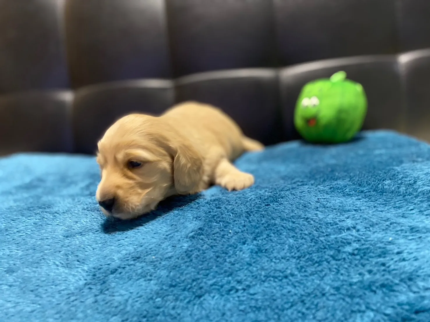 決まりました✨ありがとうございます